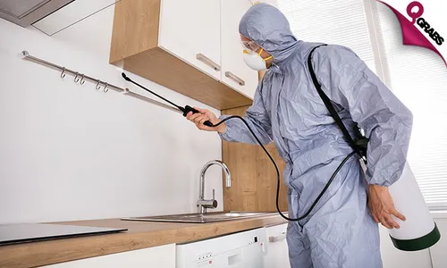 Pest Control: Cockroach & Bedbug Treatment Services!
